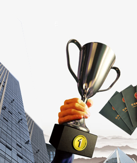 行政复议与诉讼